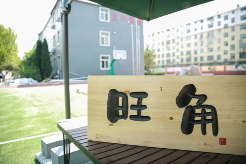 東營(yíng)藝術(shù)生文化課輔導(dǎo) 理性選擇與科學(xué)備考——以濟(jì)南立行學(xué)校科技指導(dǎo)為例